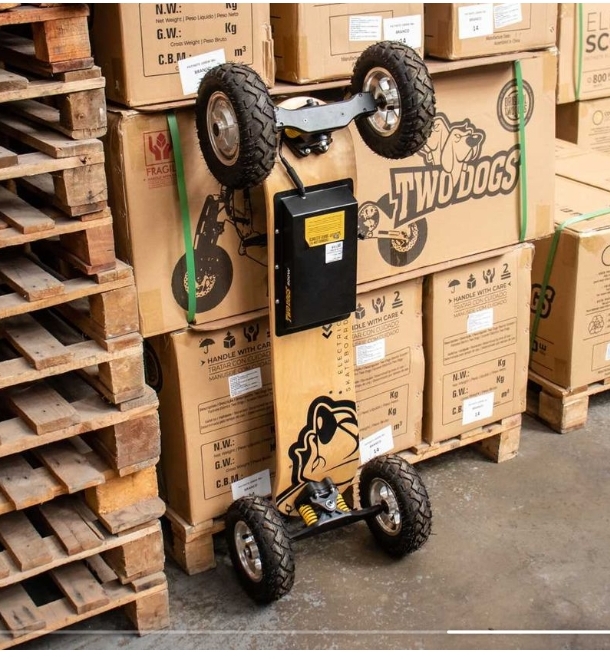 Foto do produto Skate Elétrico Off-road 800w – 2020